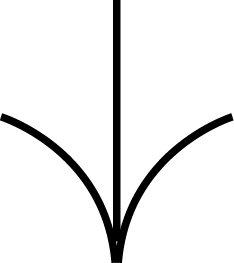 Felcha